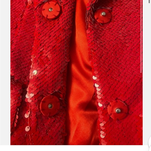Red Sequin Blazer - Picture 3 of 10